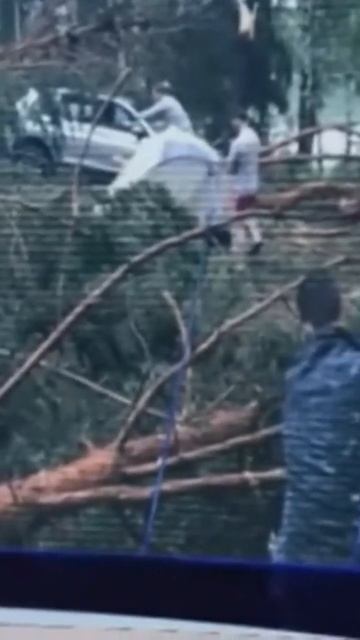 ветер сносит крыши #shorts