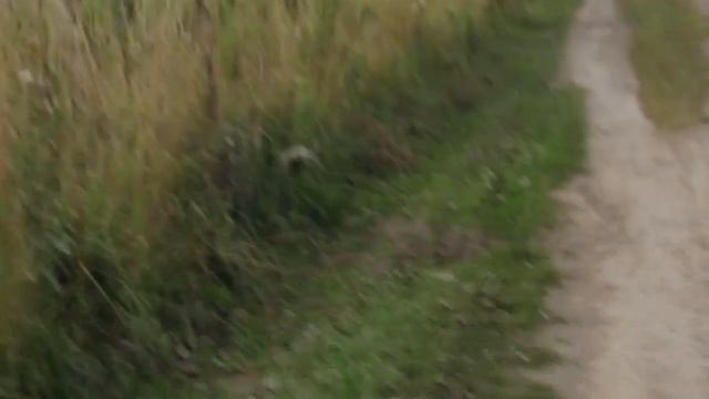 Поход выходного дня на Белый камень и окрестности Верх-Тереша 7.09.19г. Часть 1.Прокопьевск смотреть онлайн