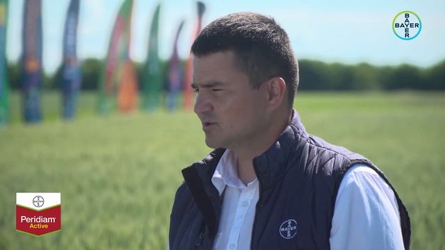 Recomandări Bayer pentru tratamentul semințelor de cereale păioase 2020 смотреть онлайн