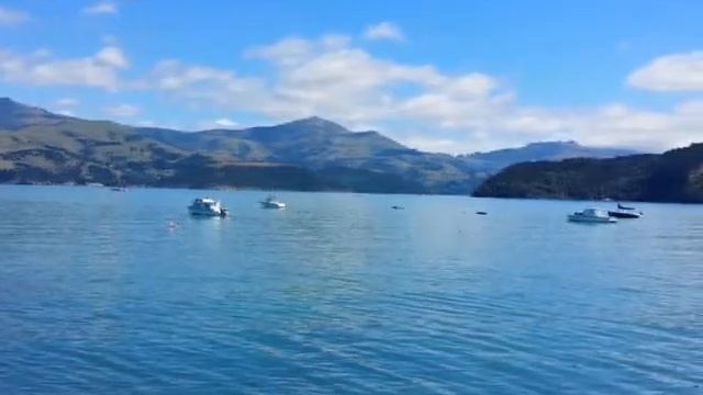 Привет Пермь! Новая Зеландия смотреть онлайн