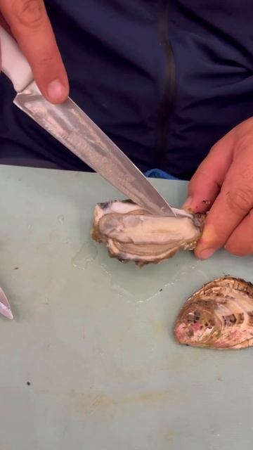 Володя вскрывает устрицу через попку