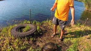 Отчет рыбалки за неделю. «Новая рыбалка» в Белгороде