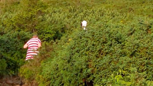 Восхождение на Говерлу смотреть онлайн