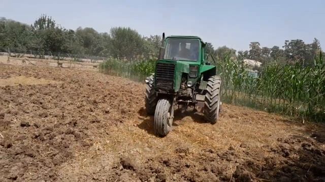 ТРАКТОР СРОЧНО СОТИЛАДИ БЕЛАРУСЬ МТЗ 80 Х +998935981196 смотреть онлайн