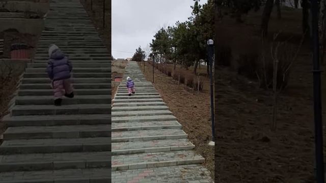 Сергеевка. Пробежка по лестнице смотреть онлайн