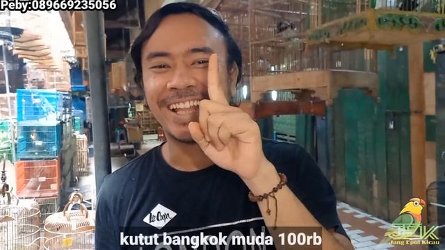 12 OKTOBER 2023 UPDATE HARGA BURUNG TERBARU KHUSUS PEMAKAN BIJI-BIJIAN DIKIOS HAJI ABU PB.PRAMUKA смотреть онлайн