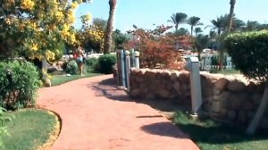 Hotel Aurora Oriental Resort 5 stars, Sharm El Sheikh, review, обзор отеля