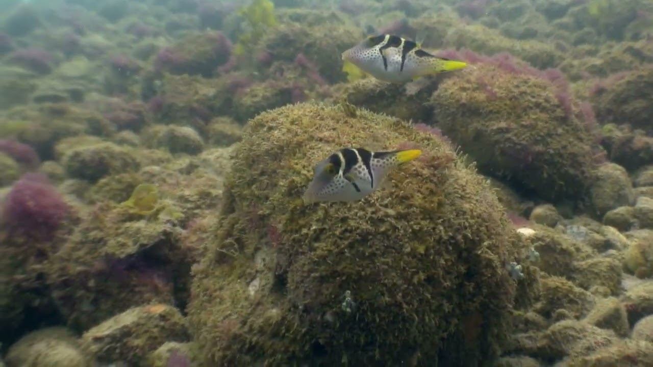 Philippines 13 смотреть онлайн