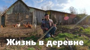 Первый выход коров после зимы и дела деревенские! Жизнь в деревне