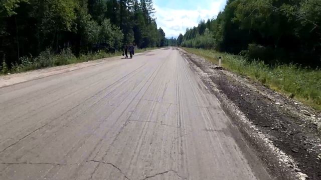 Байкал-Хубсугул на велосипеде. Часть 7. Поляна за Мондами - Кемпинг на Вышке (Жемчуг) смотреть онлайн