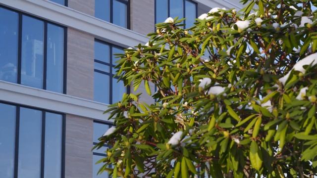 Запрошуємо переглянути свіженьке відео нашого Park Lake City 😍 смотреть онлайн