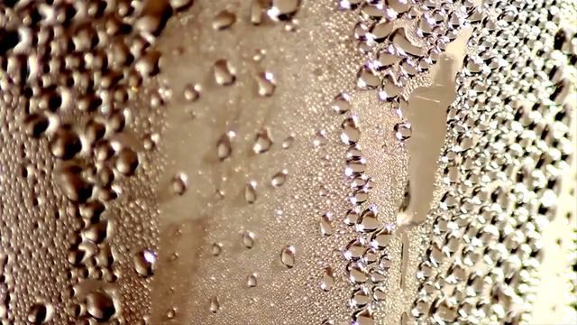 GRAND SUNSET PRINCESS 5 Мексика, Ривьера Майя смотреть онлайн