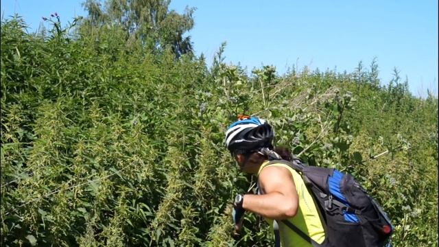 единение с природой смотреть онлайн