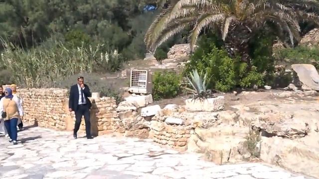 Tunisia North Africa Туніс, Північна Африка. смотреть онлайн