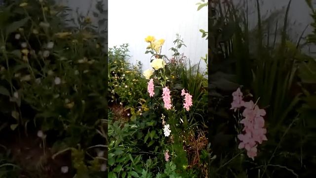 Хостел в Парковом, июнь 2019 смотреть онлайн