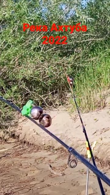 Ахтуба Волжский. смотреть онлайн