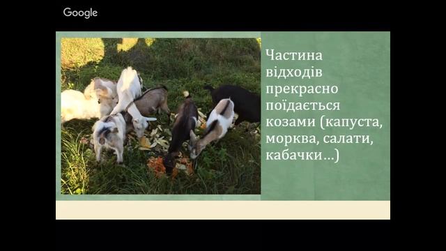"Органіко" - проект переробки біовідходів - Тетяна Чучко смотреть онлайн
