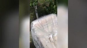 Рум Тур по участку моей даче🔥🦋😹🌞