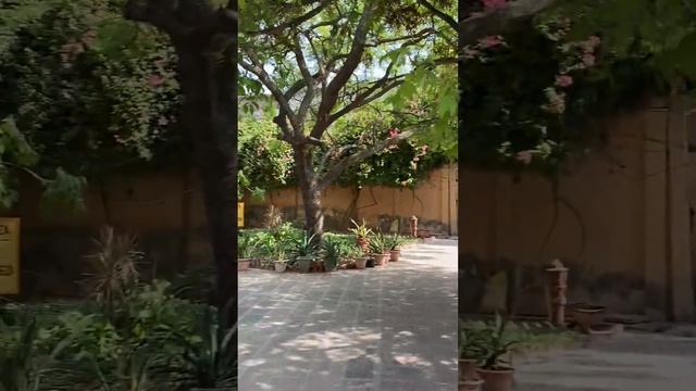 МВТ -Mayapur Vrindavan Trust. Самая известная гостиница Вриндавана смотреть онлайн