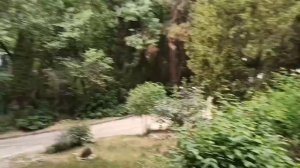 Обзор. Санаторий "Горный" Крым, Курпаты.