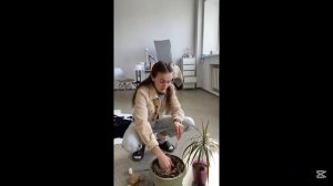 Маникюрный влог, сохнут кисти