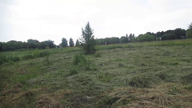 Срочно СДЕЛАЙТЕ ЭТО!!!! НАКРОЙТЕ СЕНО!!!)))))) смотреть онлайн