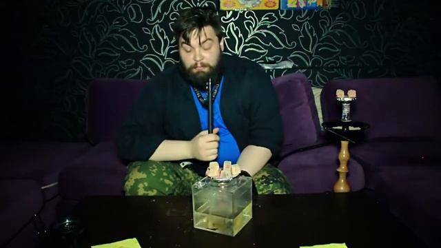 Ortodox Hookah. Обзор кальяна Hookah_Box