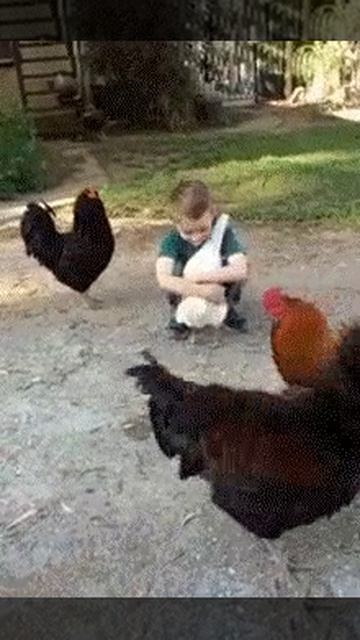 Дружба! смотреть онлайн