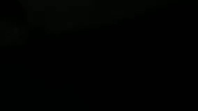 Дельфинарий в Чите смотреть онлайн