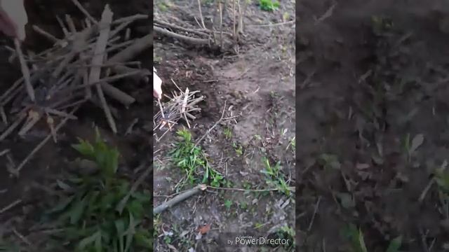 Разжигаем костёр в лесу смотреть онлайн