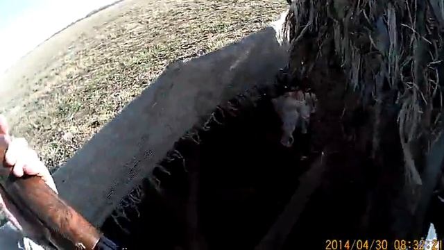Полювання на гусей 2014 смотреть онлайн