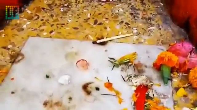 ЙЦИ путь в храм Чандры смотреть онлайн