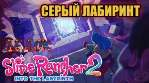 Серый Лабиринт Slime Rancher 2