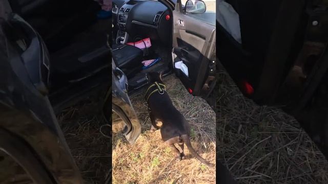 Батайск 😂 смотреть онлайн