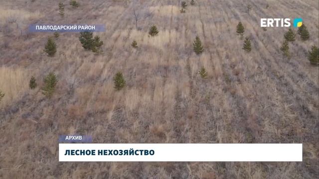 Лесное нехозяйство смотреть онлайн