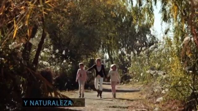Naypa Tourism Spain Туристическое Агентство Индивидуального Обслуживания смотреть онлайн