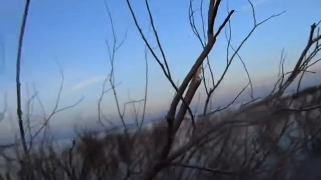 одна утка и 1 гусь,саня вышел из палатки по нужде,и добыл гуся в 5 или 6 утра),гусь летел высоко смотреть онлайн