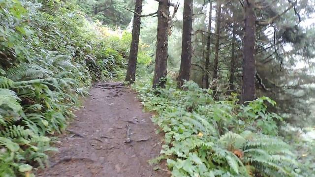 США Удивительная Природа Штата Орегон часть 2. Hiking trail up to Mountain. Oregon Ecola park. смотреть онлайн