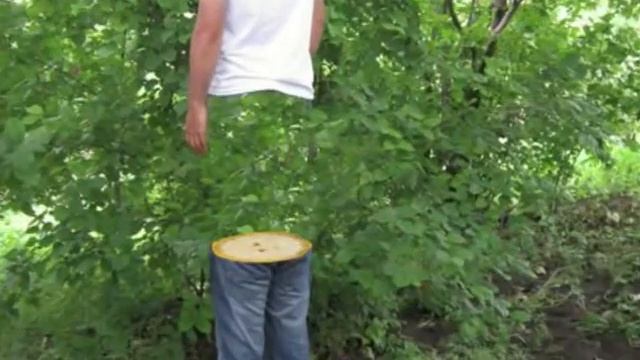 vanik xachikyan Vitamin club Amanor nor tari garik vache aram mp3 Charenc photoshop master armenia смотреть онлайн