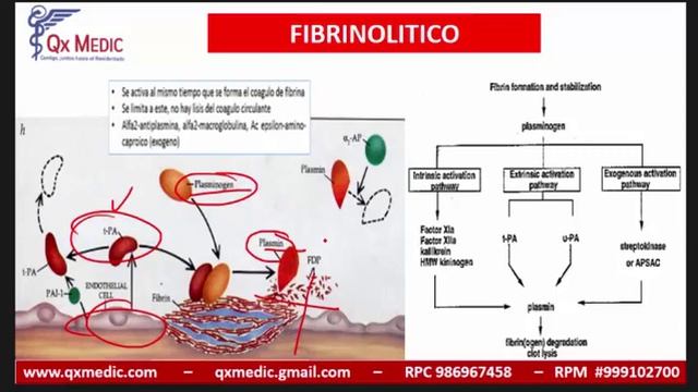CC HEMATOLOGIA FARMACOLOGIA смотреть онлайн