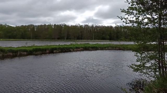 Водохранилище вблизи р.Полна (Могилевский район) смотреть онлайн