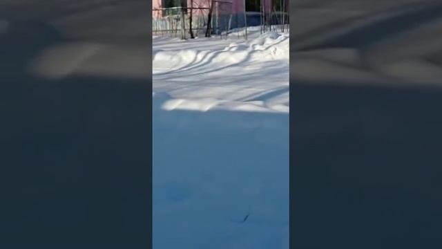 Позабыт- позаброшен, пос. Мухен смотреть онлайн