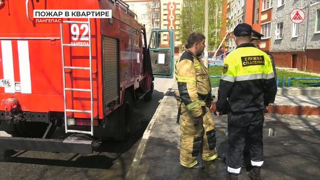Пожар в квартире 25-05-2023 смотреть онлайн