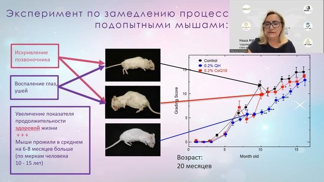Самый эффективный и безопасный путь к здоровью детей - Марина Холкина || Вебинар - 2023.09.27 смотреть онлайн
