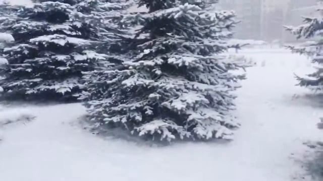 С первым днём зимы Санкт-Петербург! Видимо это весь снег этой зимы((( смотреть онлайн