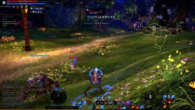 TERA.Не смог добить (PVP 2x2) смотреть онлайн