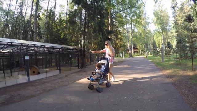 Романов лес смотреть онлайн