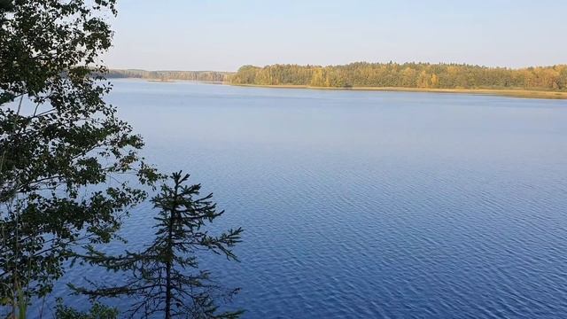 Осенний поход в лес Relaxing смотреть онлайн