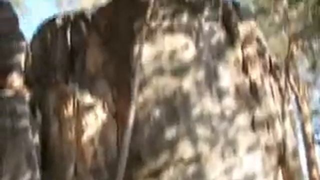 Сельский туризм смотреть онлайн