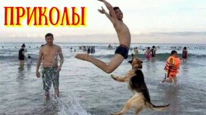 СМЕШНЫЕ ВИДЕОПРИКОЛЫ.Приколы с животными и людьми.ПОДБОРКА КОРОТКИХ СМЕШНЫХ ВИДЕО ПРИКОЛОВ С ЛЮДЬМИ